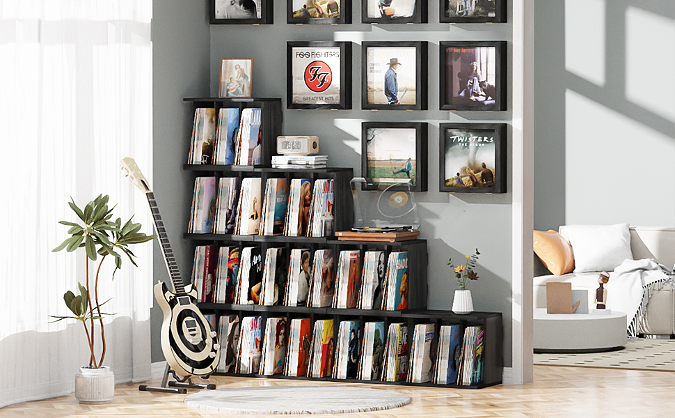 vinyl shelf