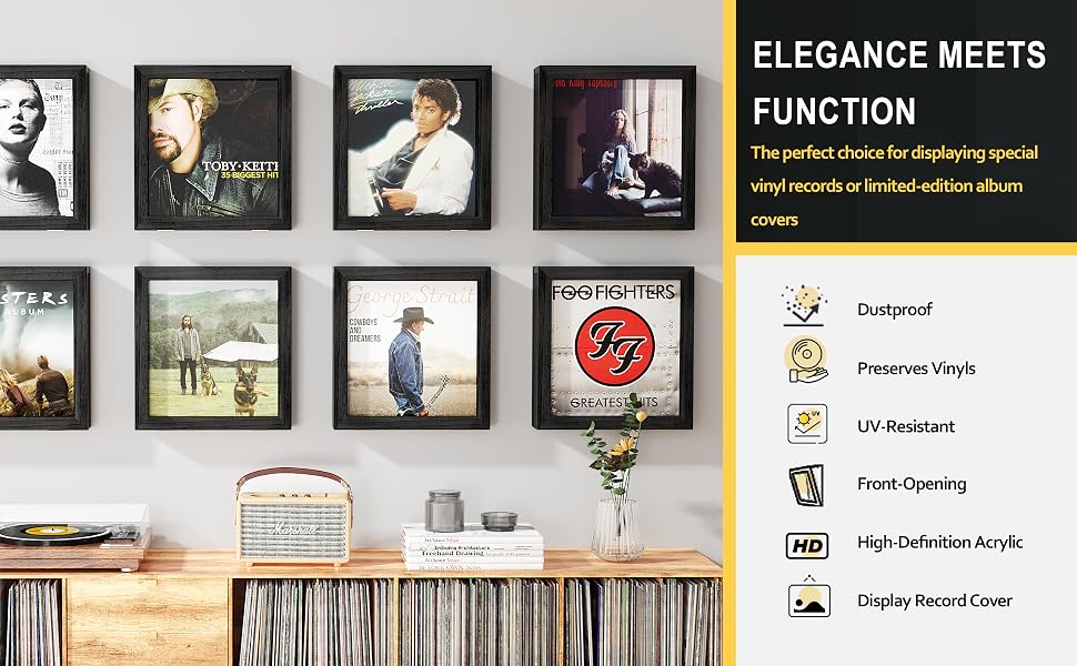 vinyl record storage