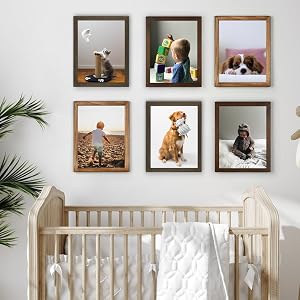 picture frames