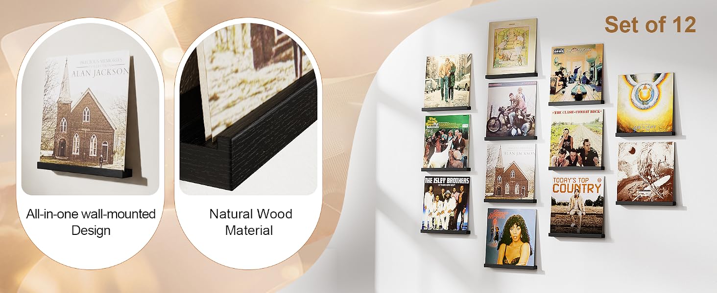 12-Pack Floating Record Shelves, Wall-Mounted Vinyl Album Display