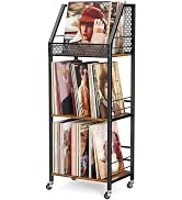 Emfogo Vinyl Record Storage Holder for 300 Albums
