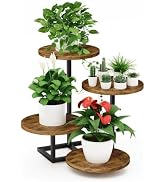 Small Plant Stand Indoor 4-Tier Plants Shelf, Tabletop, Window Sill