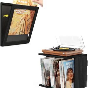 Turntable Stand with Record Storage and LP Frame Set