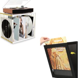 80-Album Vinyl Record Holder with Single Frame