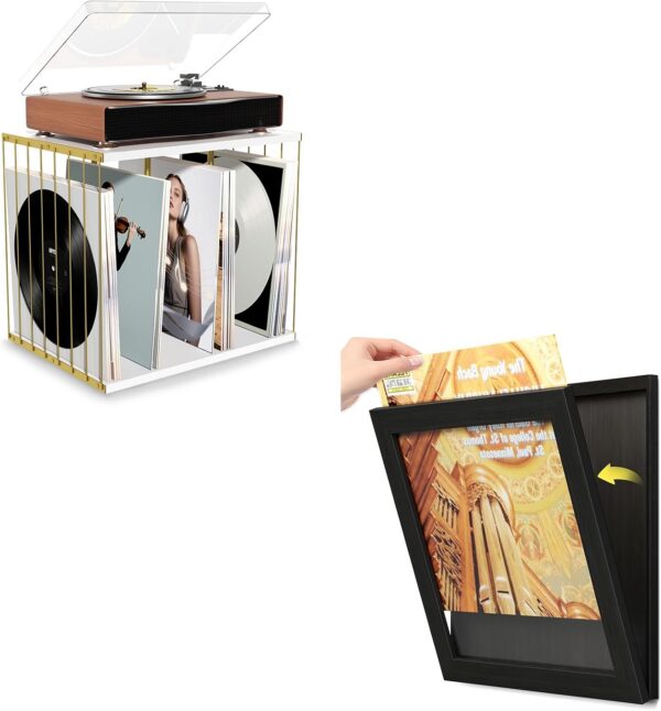 80-Album Vinyl Record Holder with Single Frame