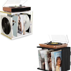 80-Album Vinyl Record Holder 2-Pack, Black and White