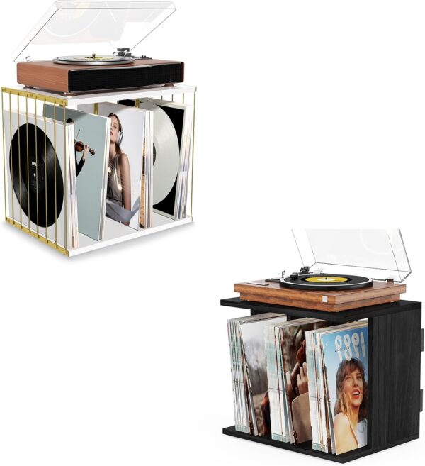 80-Album Vinyl Record Holder 2-Pack, Black and White