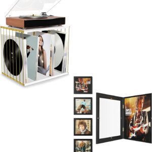 80-Album Vinyl Record Holder with 4-Pack Frames