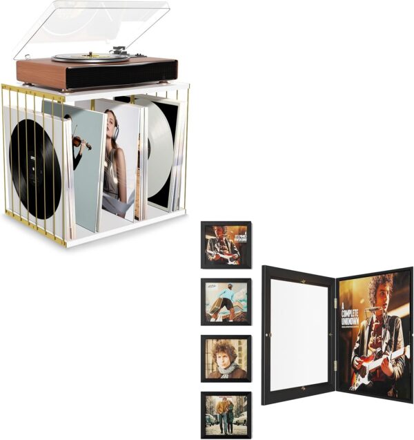 80-Album Vinyl Record Holder with 4-Pack Frames