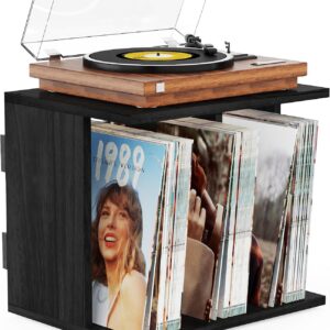 Wall-Mounted Record Player Stand with Vinyl Storage for 100 Albums