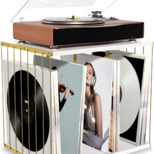 Metal & Wood Vinyl Record Holder for 80 Albums, 3-Compartment Stand