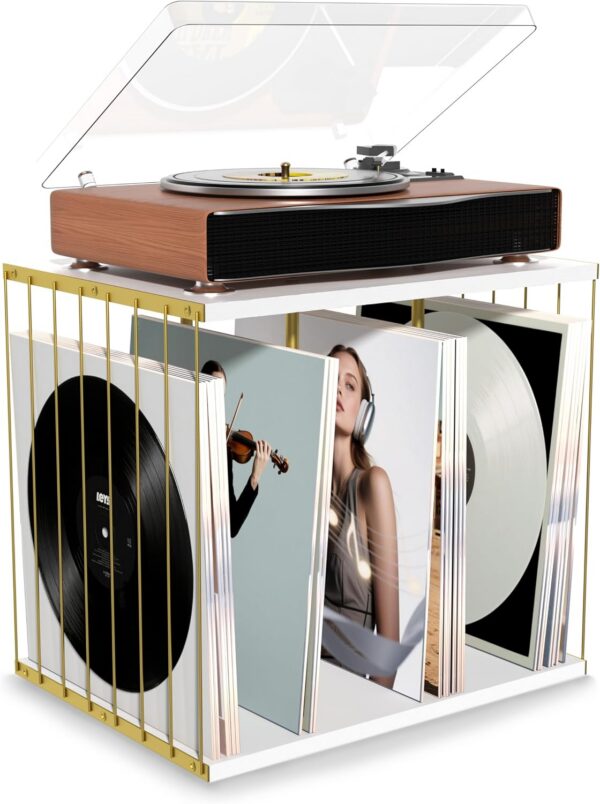 Metal & Wood Vinyl Record Holder for 80 Albums, 3-Compartment Stand