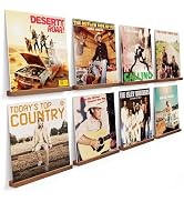 Vinyl Record Wall Mount