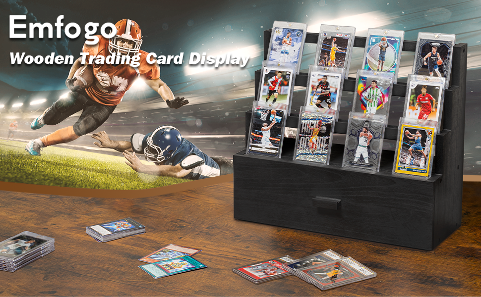 Card Storage Display