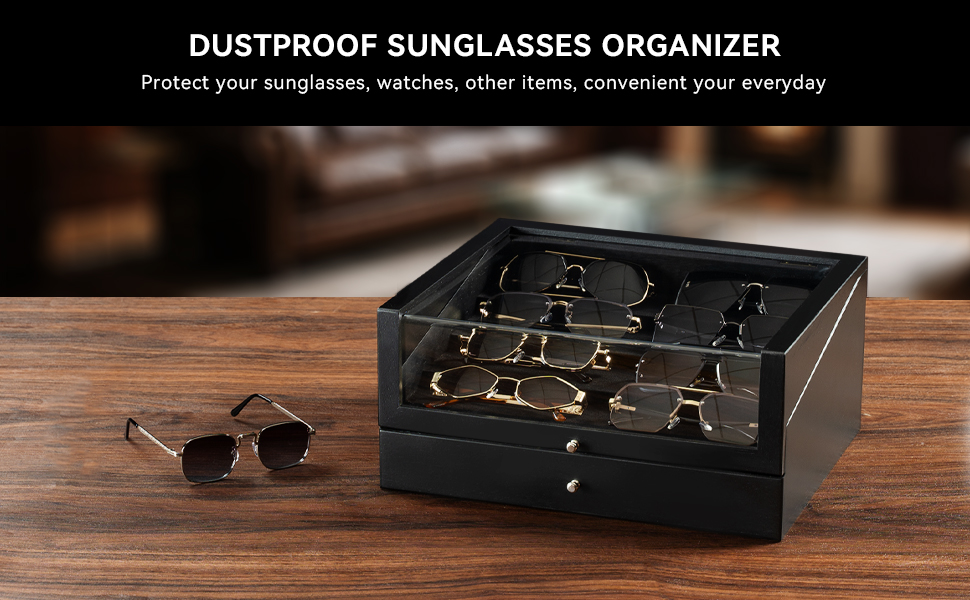 Sunglass Storage Organizer