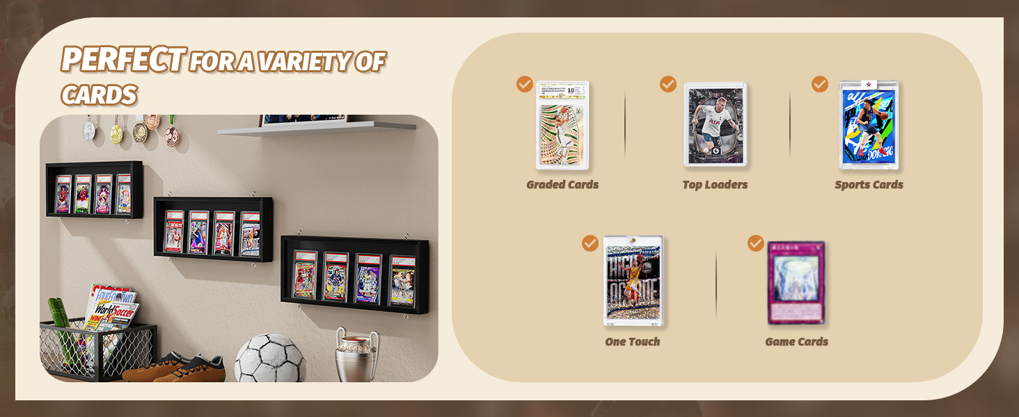 sports card display case