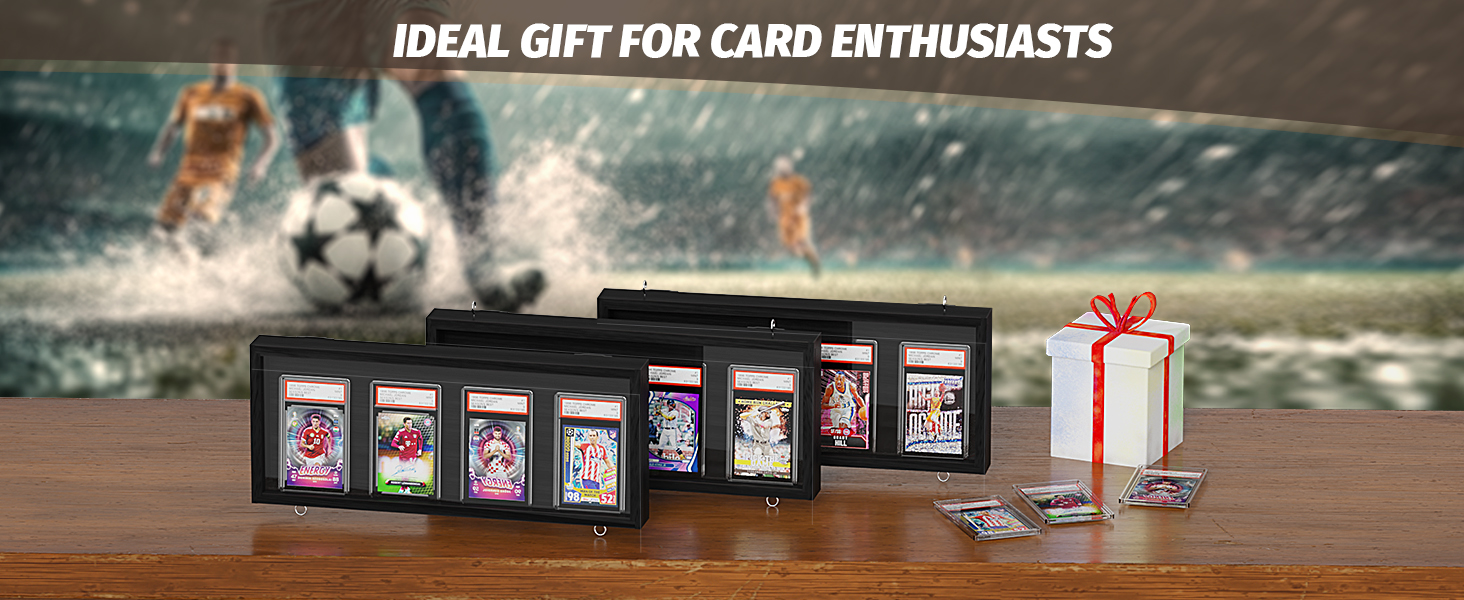 baseball card display case