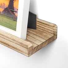 Unique Ledge Shelf