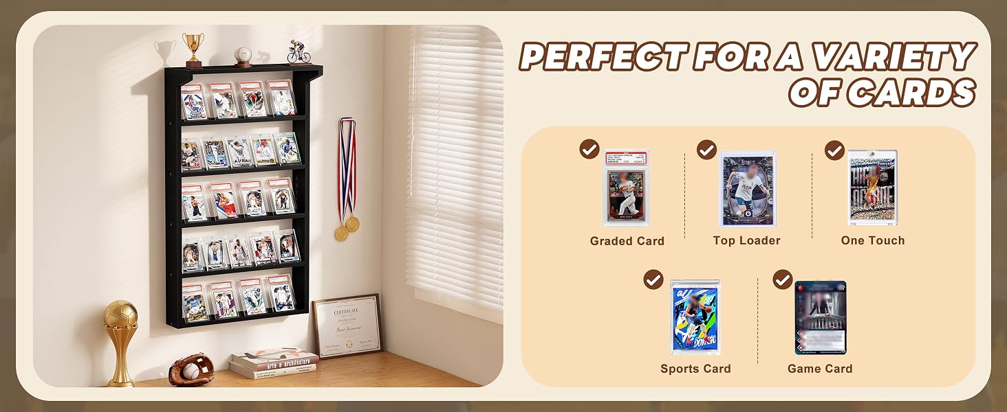 card display shelf
